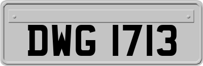 DWG1713