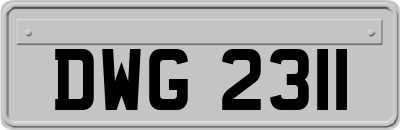 DWG2311