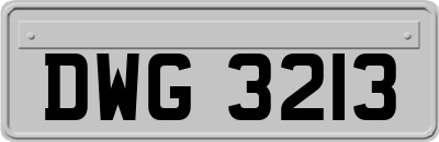 DWG3213