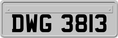DWG3813