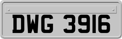 DWG3916