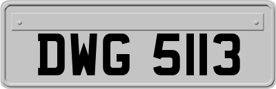 DWG5113