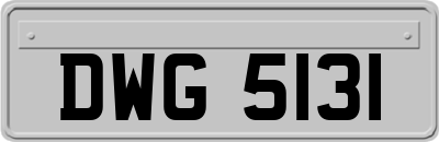 DWG5131