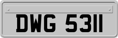 DWG5311