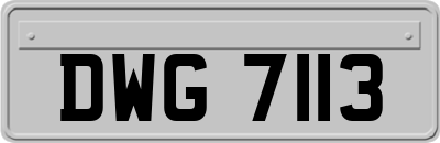 DWG7113