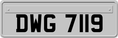 DWG7119