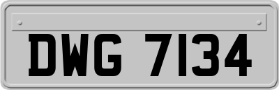 DWG7134
