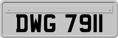 DWG7911
