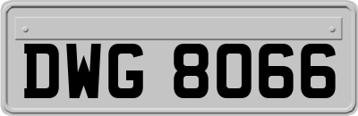 DWG8066