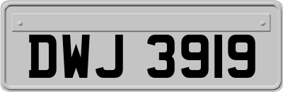 DWJ3919