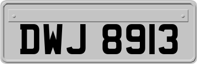 DWJ8913