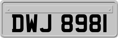 DWJ8981