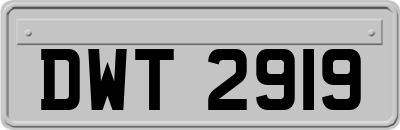DWT2919