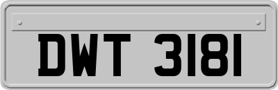 DWT3181