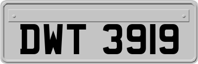 DWT3919