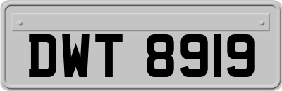 DWT8919