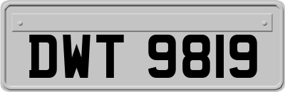 DWT9819