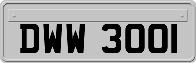 DWW3001