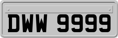 DWW9999