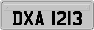 DXA1213