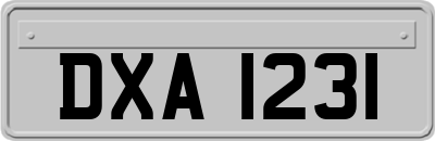 DXA1231