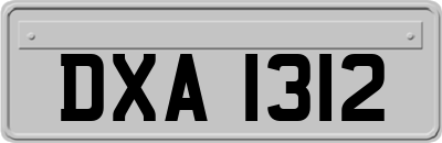 DXA1312