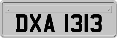 DXA1313