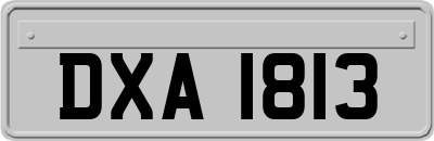 DXA1813