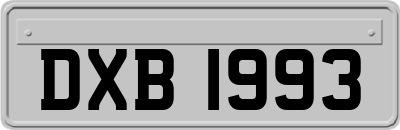 DXB1993