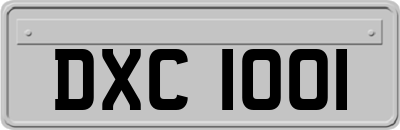 DXC1001