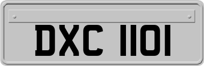DXC1101