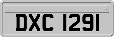 DXC1291