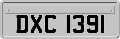 DXC1391