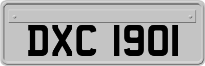 DXC1901