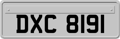 DXC8191