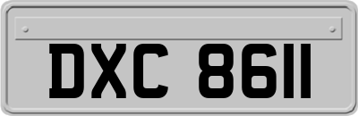 DXC8611