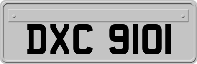 DXC9101