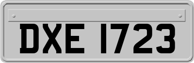 DXE1723