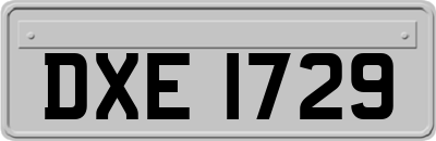 DXE1729