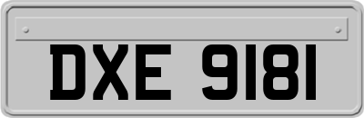 DXE9181
