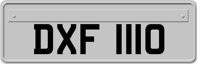 DXF1110