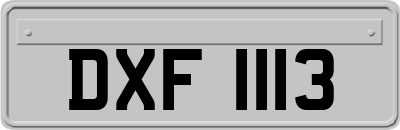 DXF1113