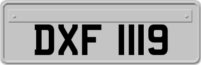 DXF1119