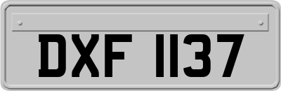 DXF1137