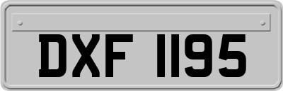 DXF1195