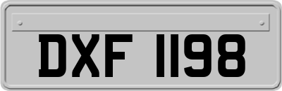 DXF1198