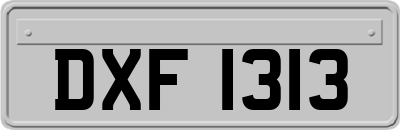 DXF1313