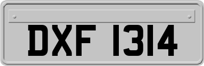 DXF1314