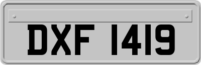 DXF1419