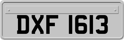 DXF1613